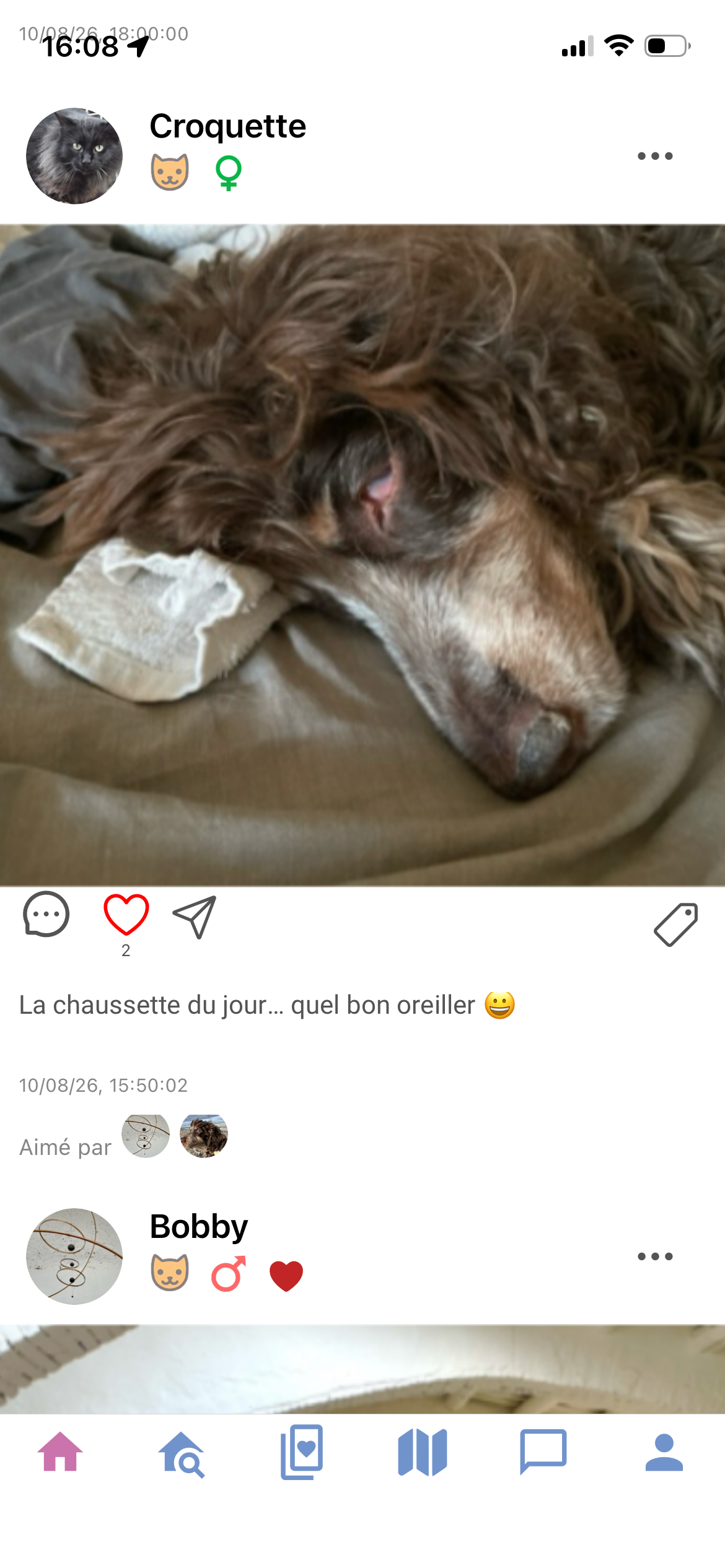 Capture d'écran du Mur — fil d'actualité MyBuddyDiary